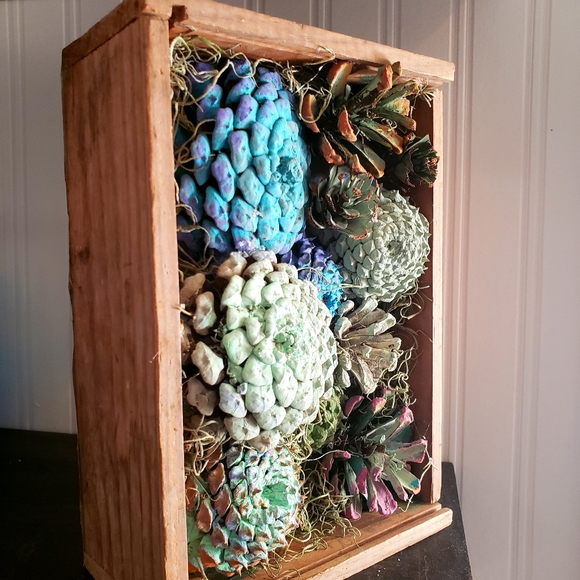 Succulent display handcrafted from pinecones new - Picture 3 of 4